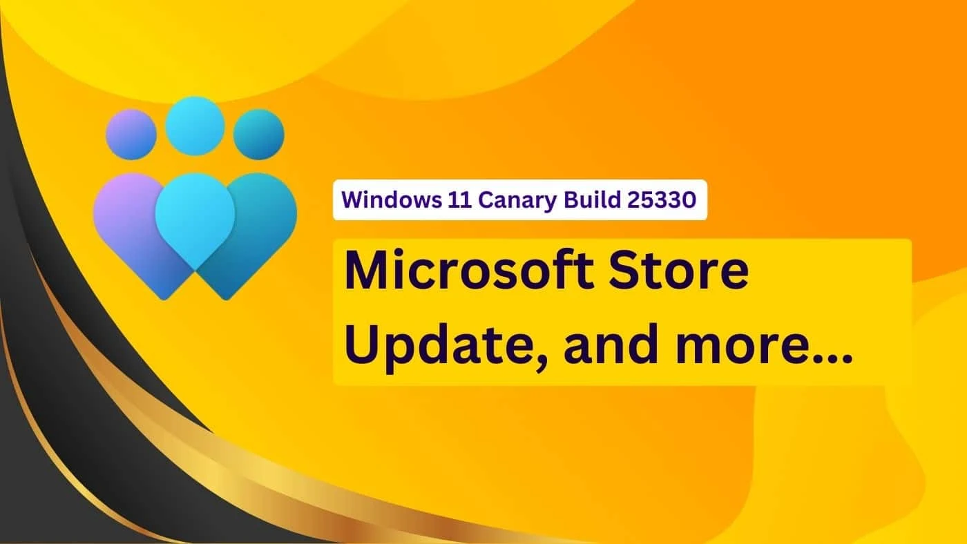 Windows 11 Canary Build 25330 adds some improvements to Microsoft Store